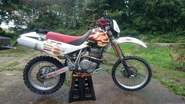 Honda XR600R billede 2