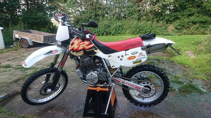 Honda XR600R billede 3