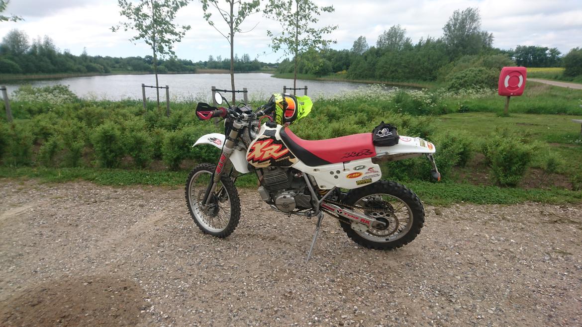 Honda XR600R billede 6