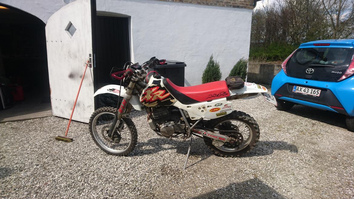 Honda XR600R billede 1