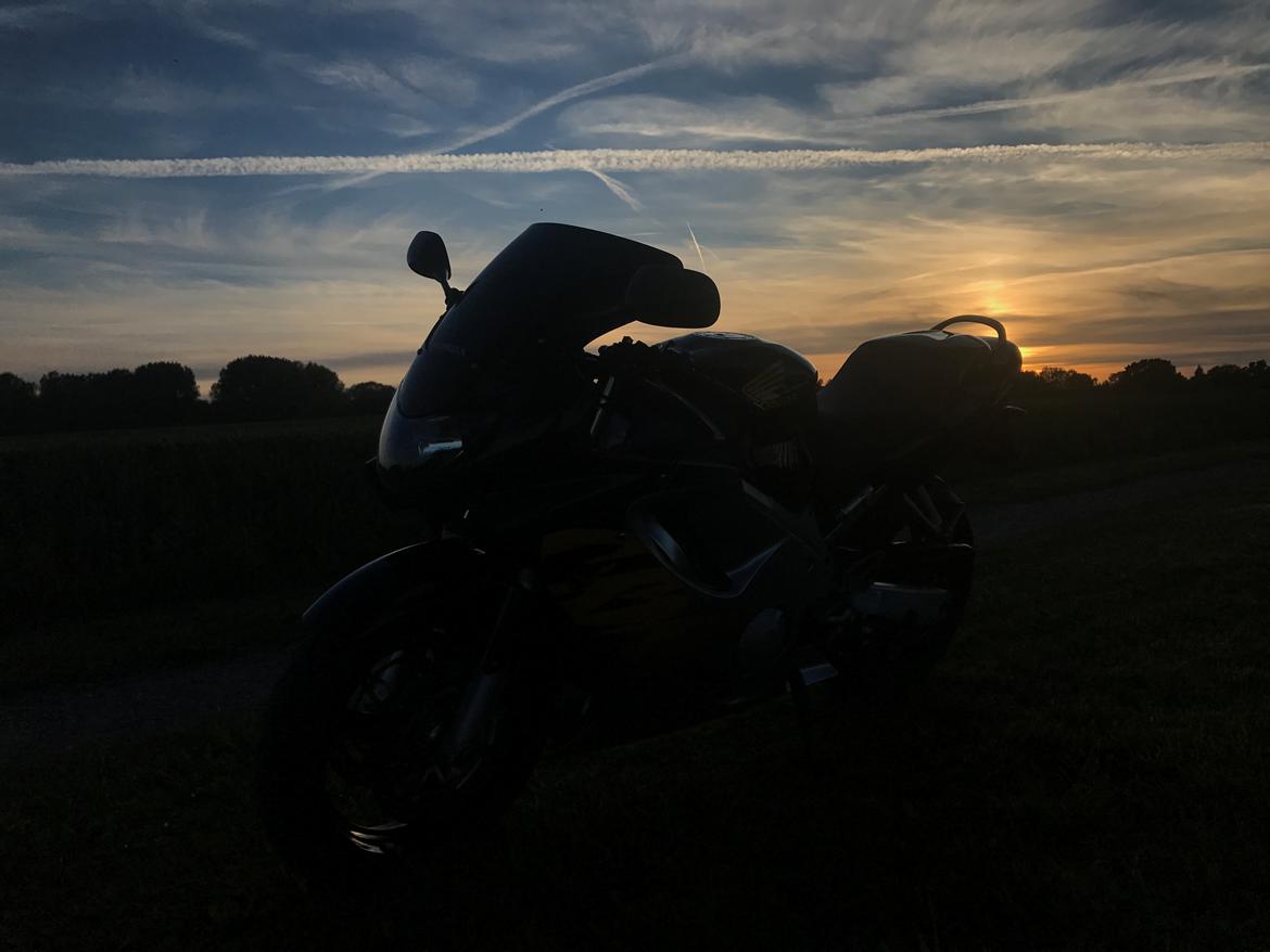 Honda CBR 600 F4 billede 13