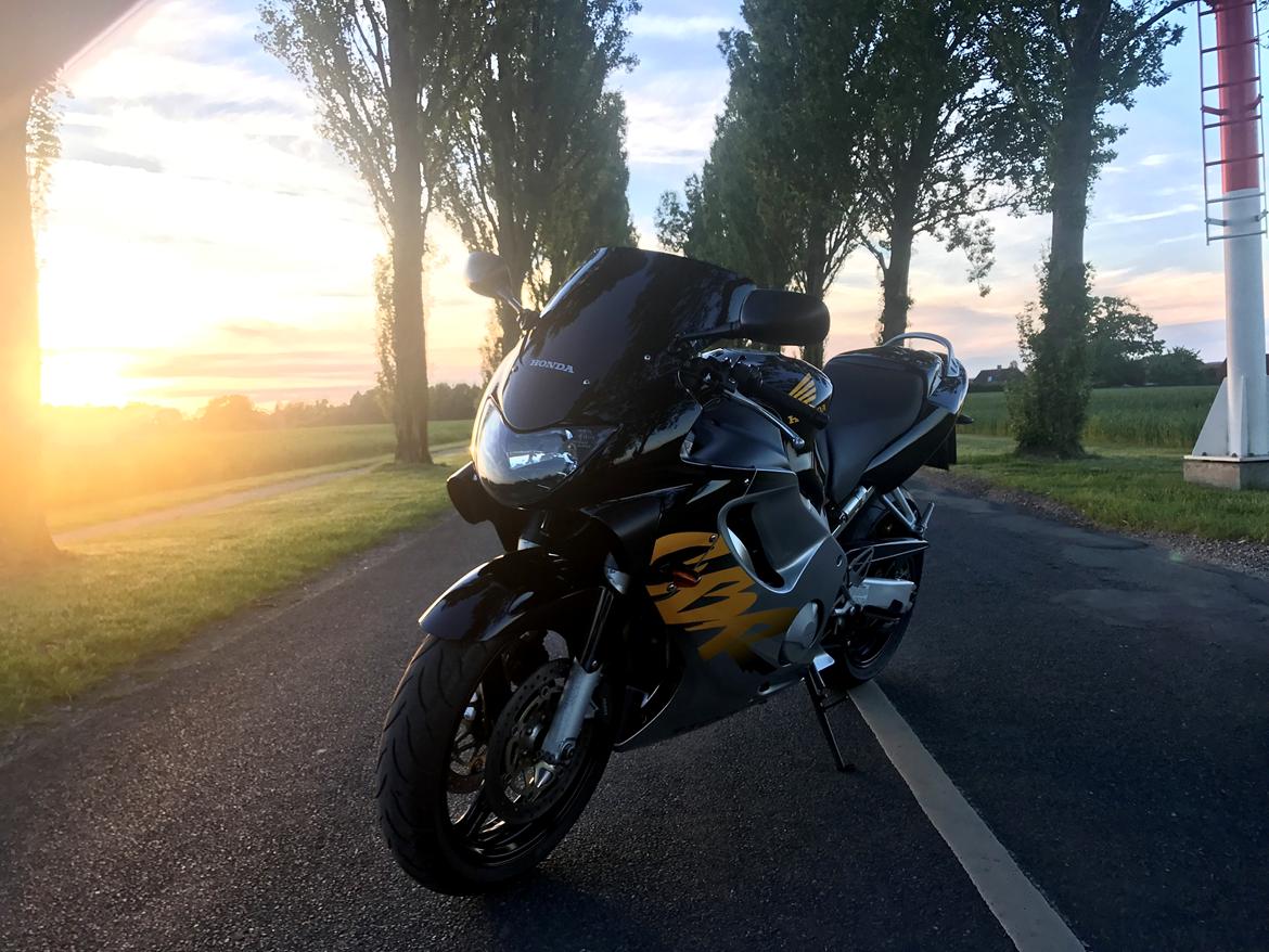 Honda CBR 600 F4 billede 14