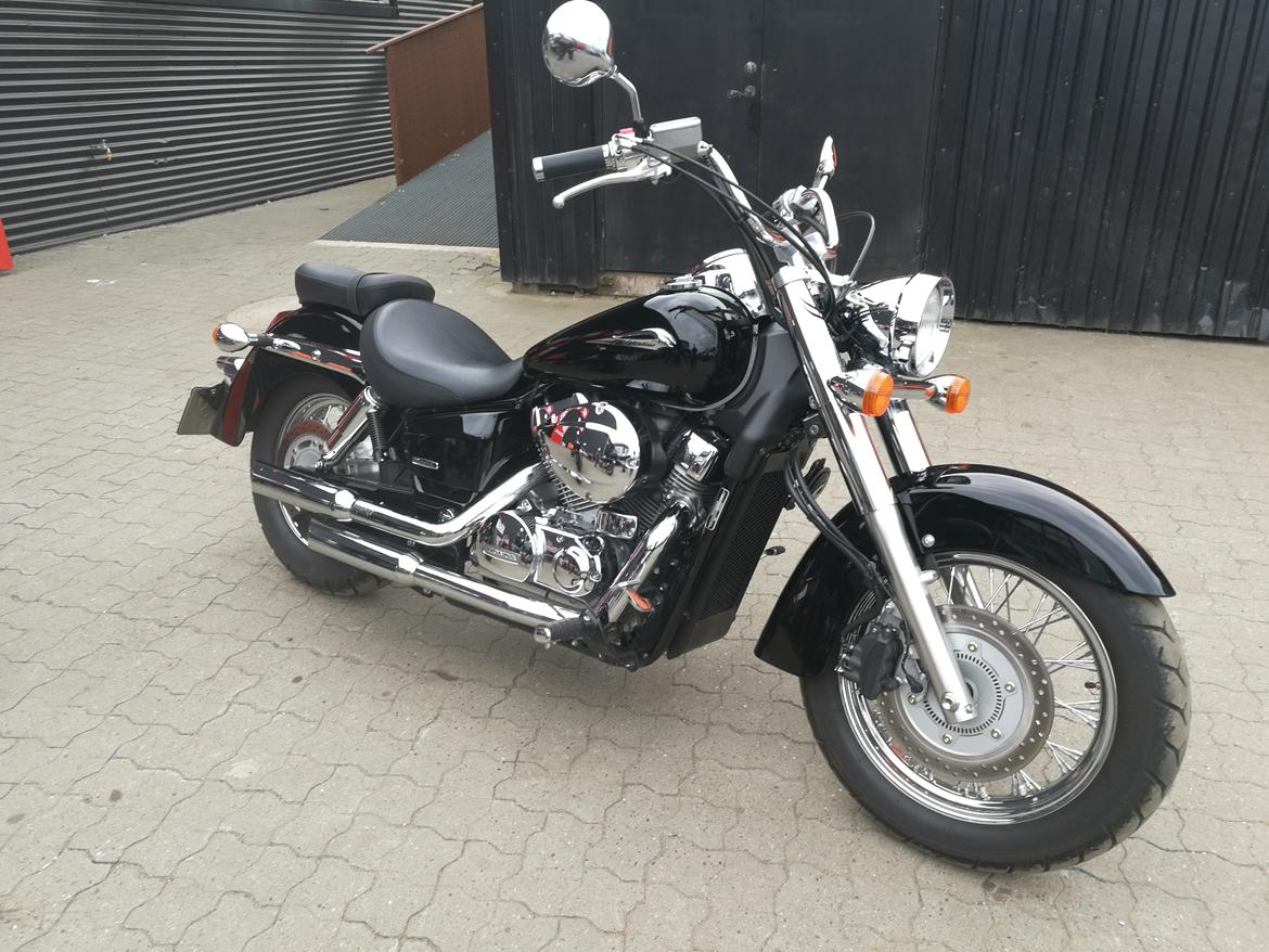 Honda Shadow VT billede 4
