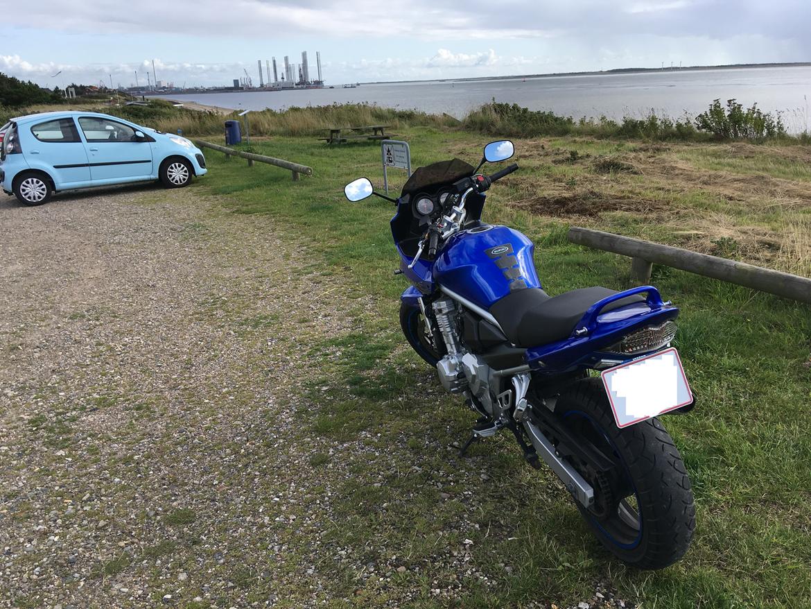 Suzuki GSF 650 SA billede 4