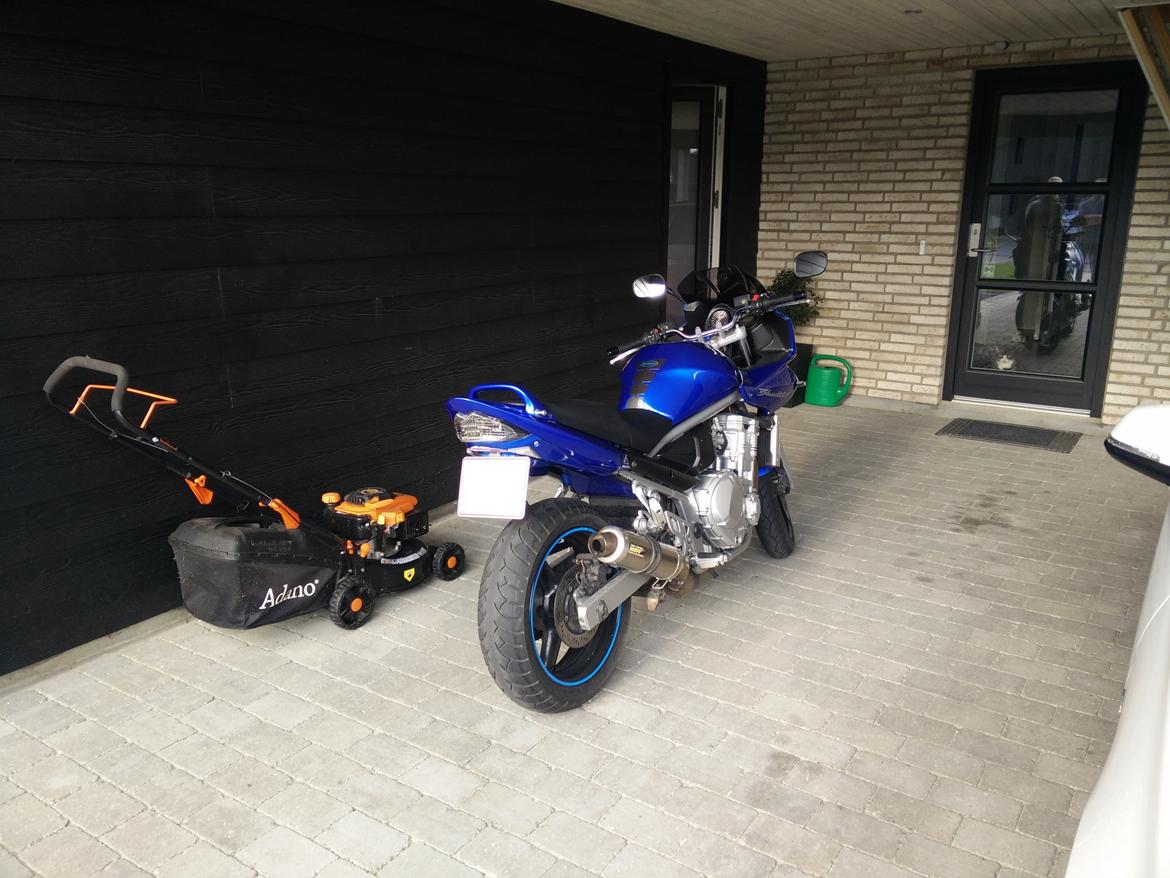 Suzuki GSF 650 SA billede 7