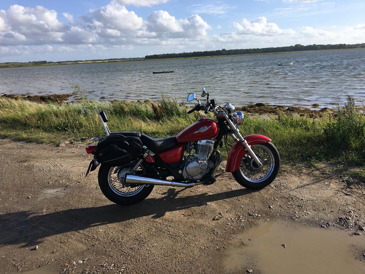 Suzuki GZ 250 Marauder  - En lille tur til Æbelø  billede 11