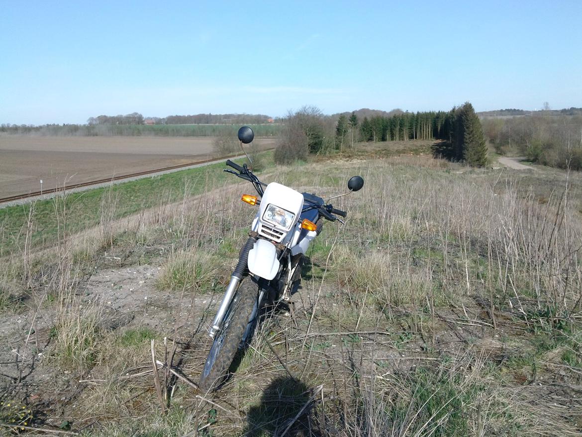 Yamaha DT 175 (Solgt) billede 2