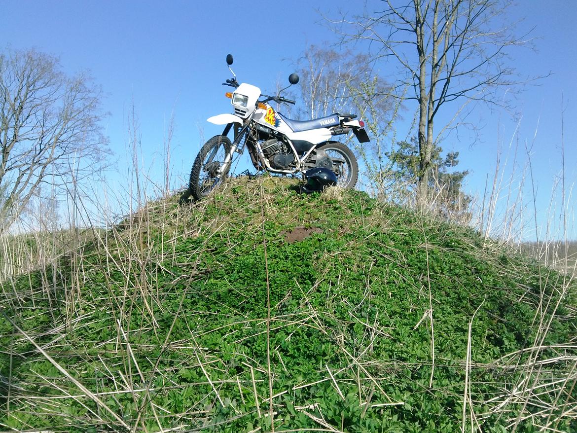 Yamaha DT 175 (Solgt) billede 5