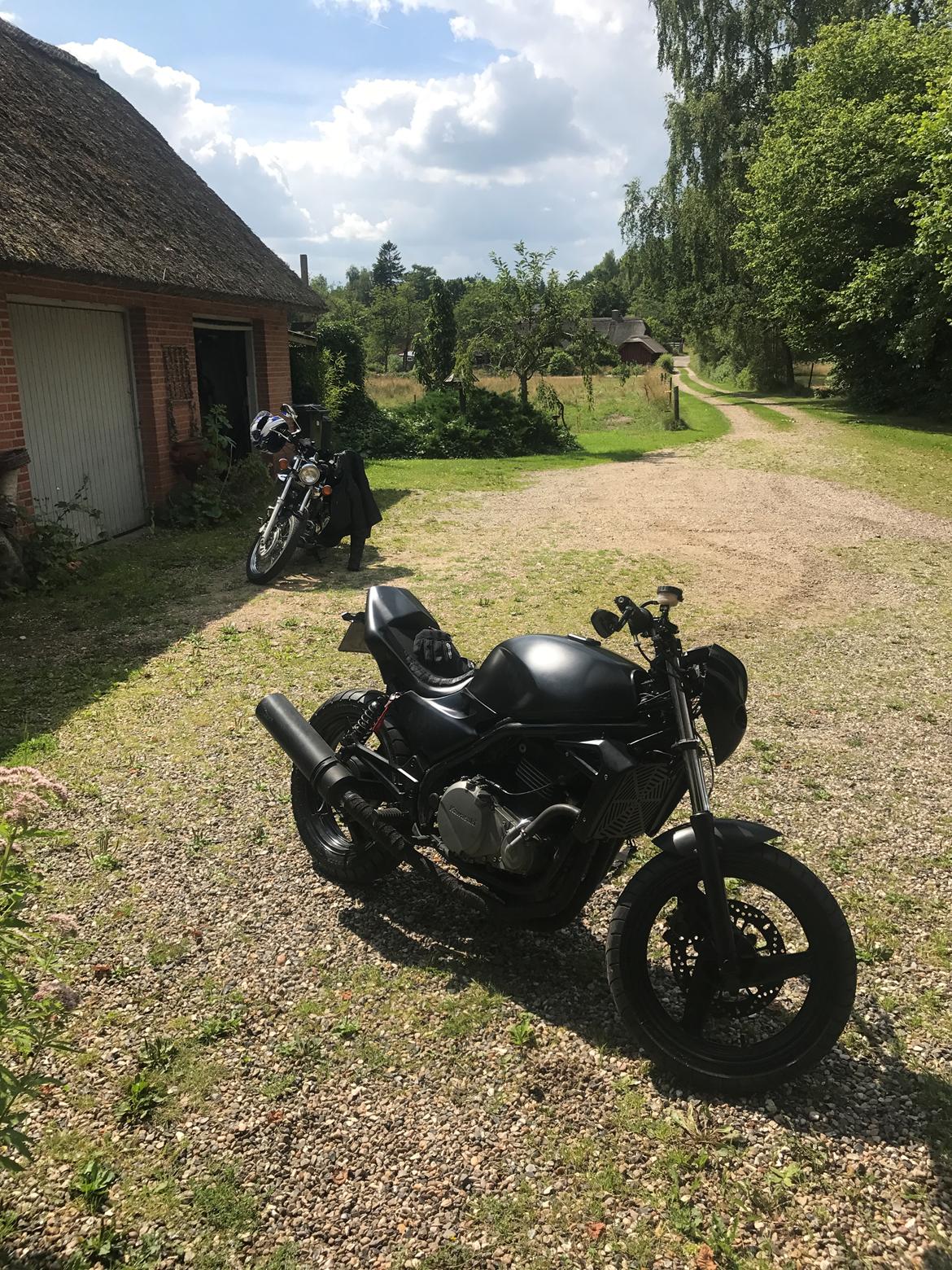 Kawasaki ER-5 billede 2