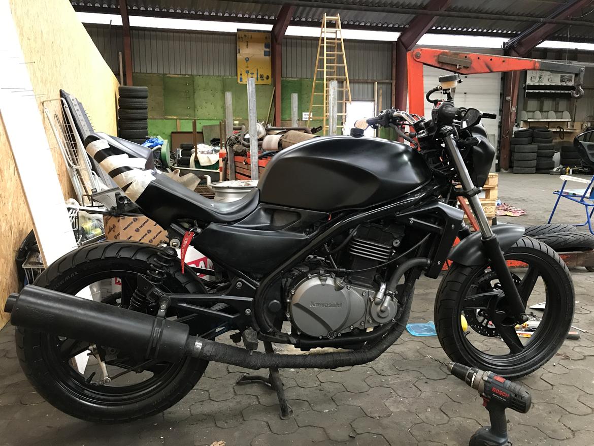 Kawasaki ER-5 billede 3