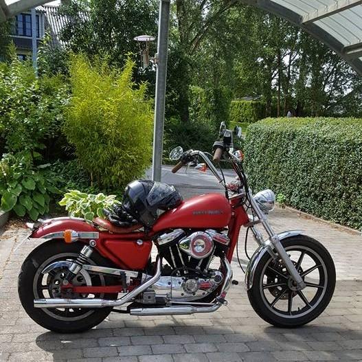 Harley Davidson Sportser 883 billede 2
