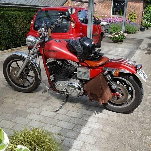 Harley Davidson Sportser 883 billede 1