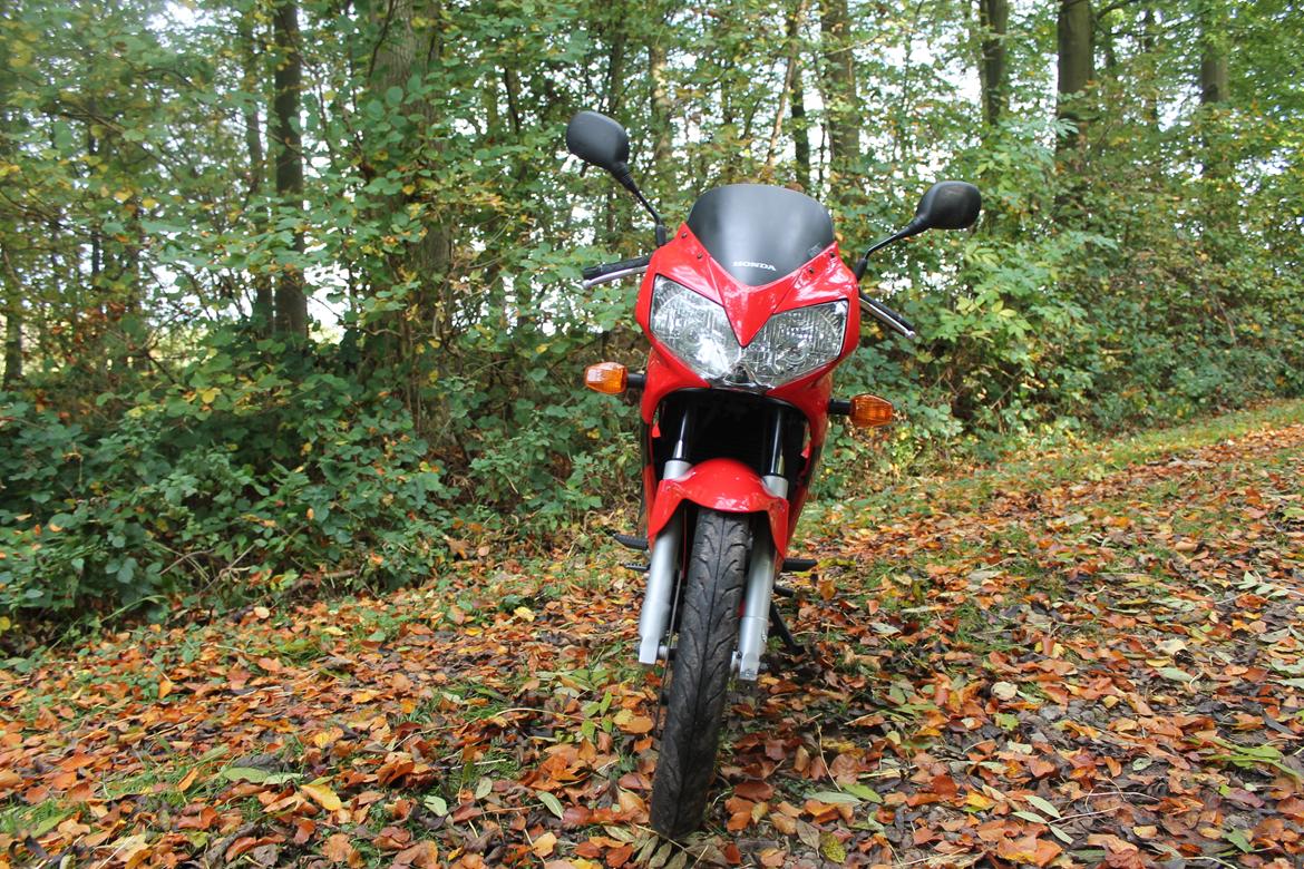 Honda CBR 125r billede 22