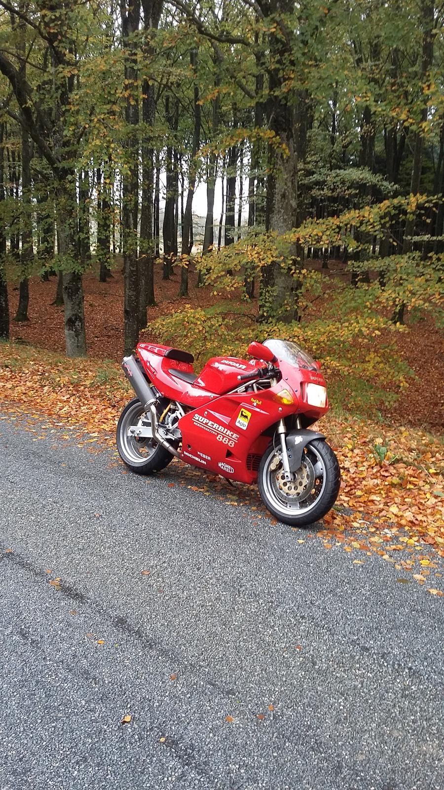 Ducati 888 billede 22