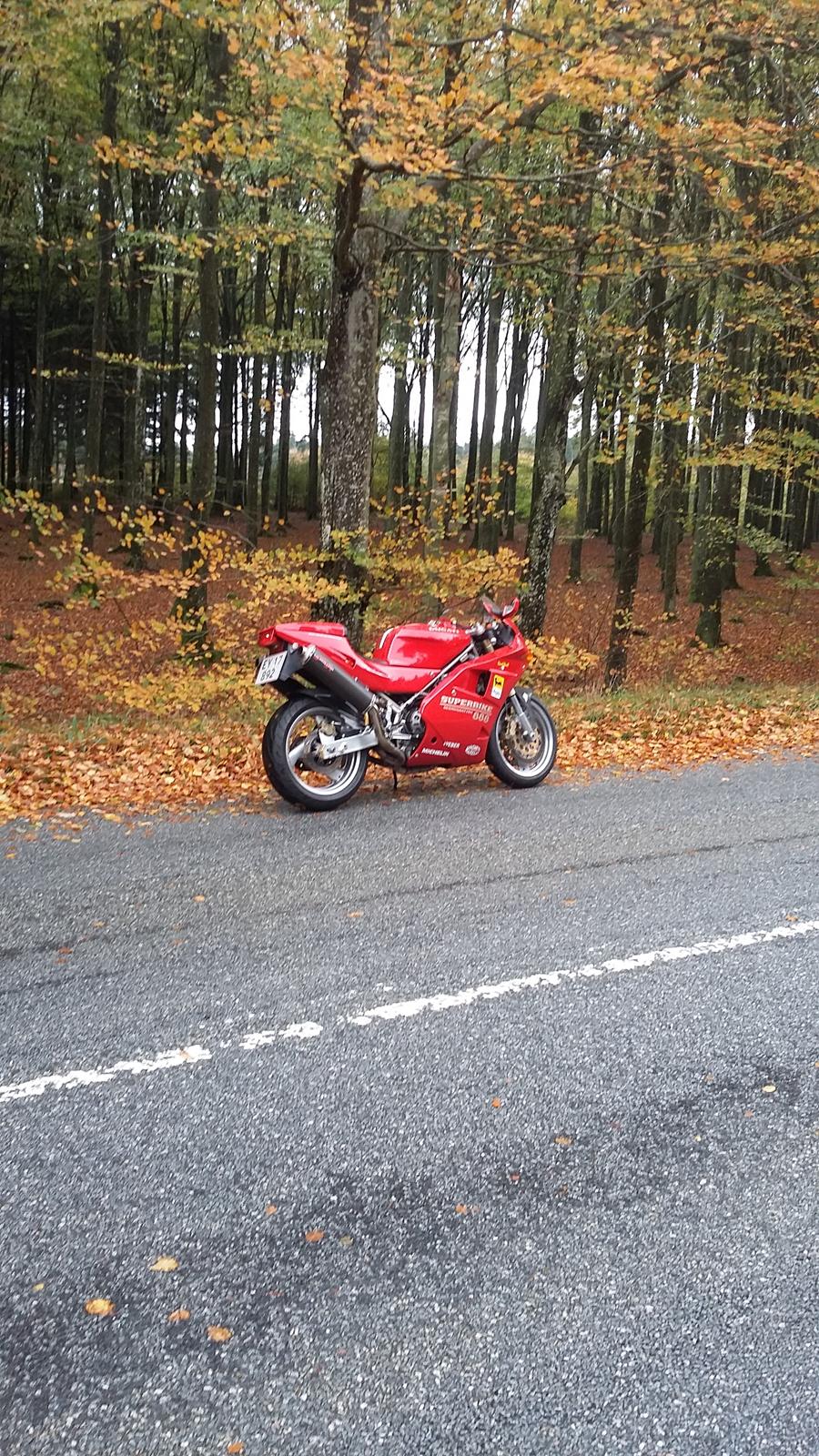 Ducati 888 billede 35