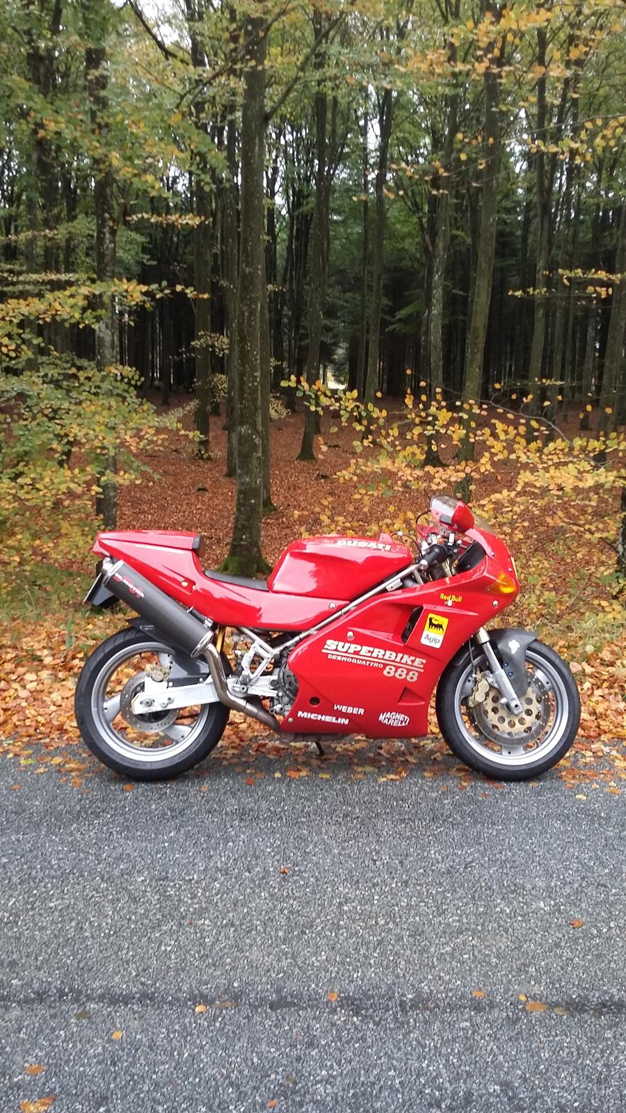 Ducati 888 billede 36