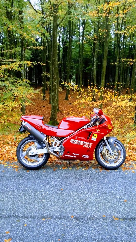 Ducati 888 billede 37