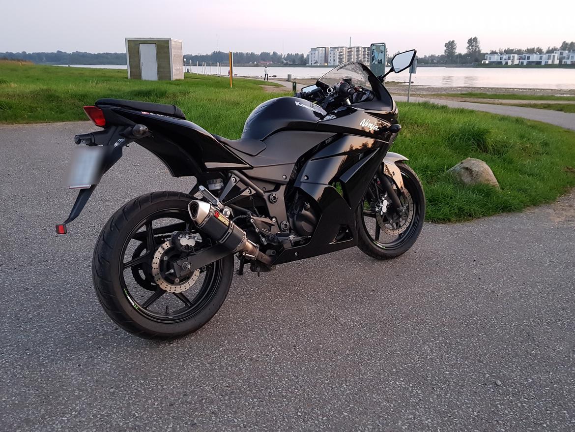 Kawasaki Ninja 250R billede 3