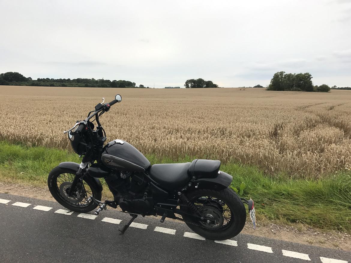 Yamaha Virago (XV) 125 billede 7