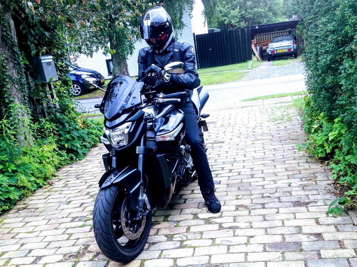 Suzuki B-King billede 6