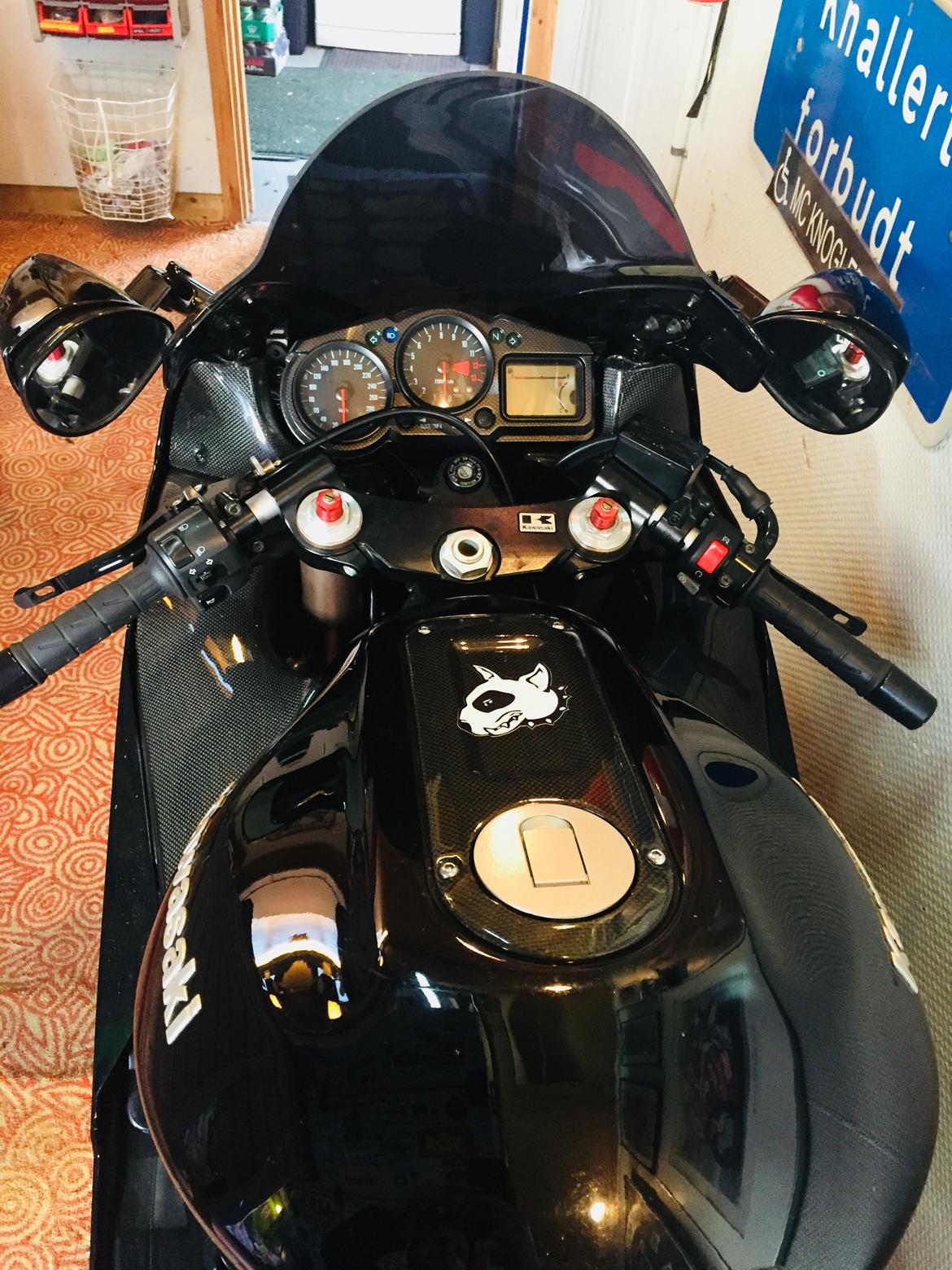 Kawasaki ZX12R billede 15