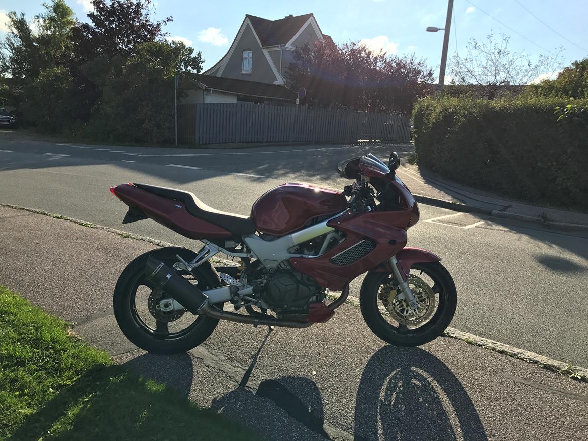 Honda VTR 1000 billede 7