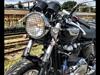 Triumph Thruxton 900
