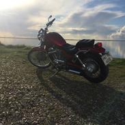 Suzuki Vs 800 intruder