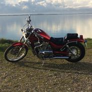 Suzuki Vs 800 intruder