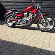 Suzuki Vs 800 intruder