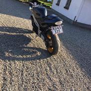Triumph Speed Triple 955i 