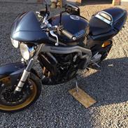 Triumph Speed Triple 955i 