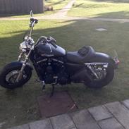 Harley Davidson Sportster xl 1200 custom