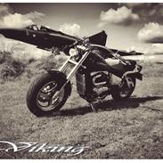 Suzuki VIKING V-Twin 45° VZ Custom Marauder 800 VZ800