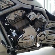 Harley Davidson V Rod 100'th Anniversary