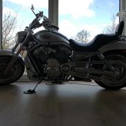 Harley Davidson V Rod 100'th Anniversary