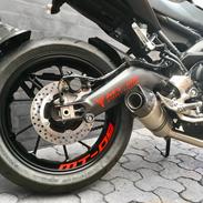Yamaha MT-09 "BAGHJULS KONGEN II"
