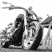 Suzuki VIKING V-Twin 45° VZ Custom Marauder