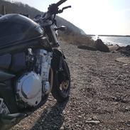 Suzuki GSF 650 Bandit