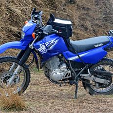 Yamaha 600 XT