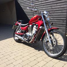 Suzuki Vs 800 intruder