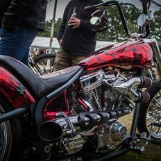 Harley Davidson Dragonbuild 