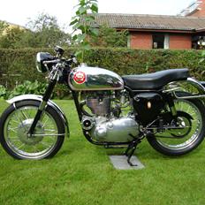BSA Gold Star Clubman DBD