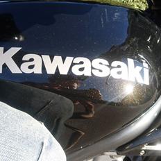 Kawasaki ER 5