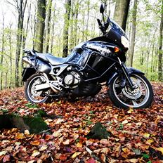 Honda Xl1000 Varadero