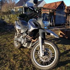 Aprilia Pegaso Trail