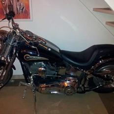 Harley Davidson fxsts