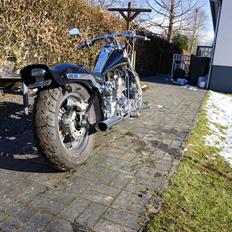 Regal Raptor Spyder 300