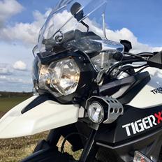 Triumph Tiger 800 XCa