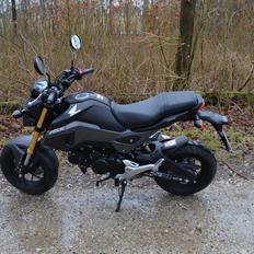 Honda MSX 125 aka GROM Solgt!